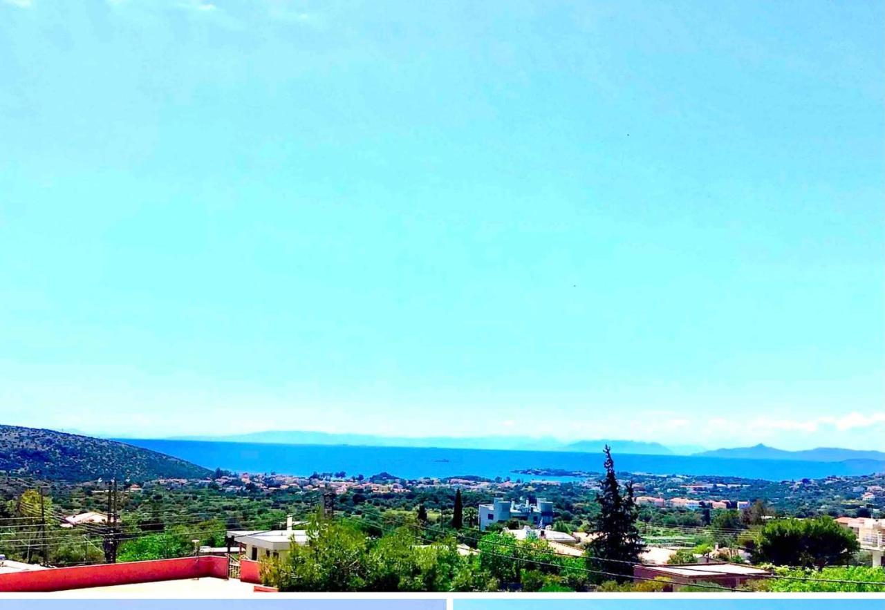 Athens Riviera Grand Panoramic Villa Lagonissi Lagonisi Exteriör bild
